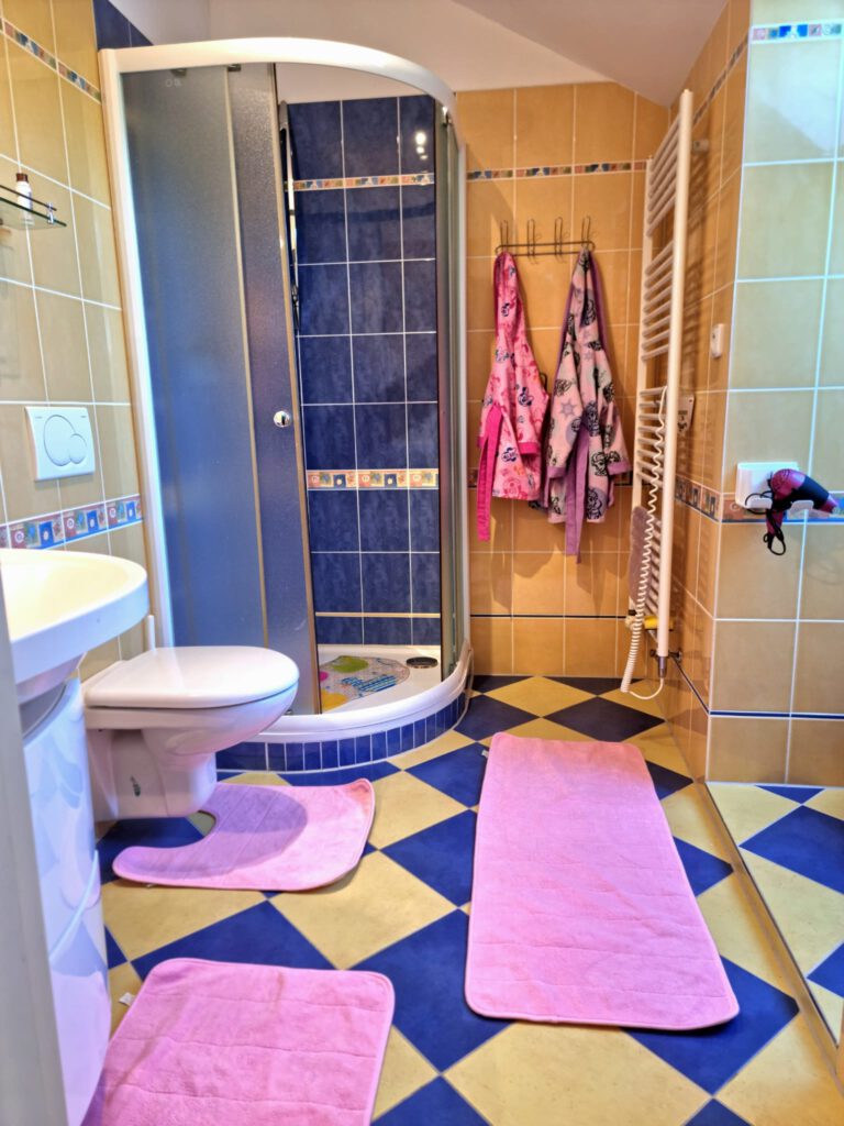 Rental of a 6+ bedroom house, Motýl, Olšová Vrata