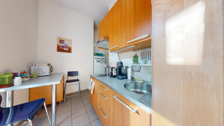 Apartment 1+1, Slavojova Street, Prague 2