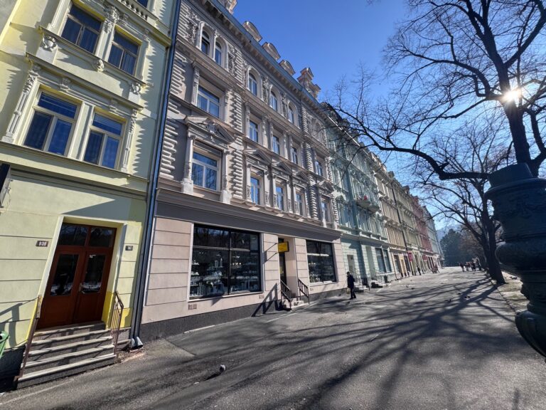 Byt 2+1, ul. Nábřeží Jana Palacha