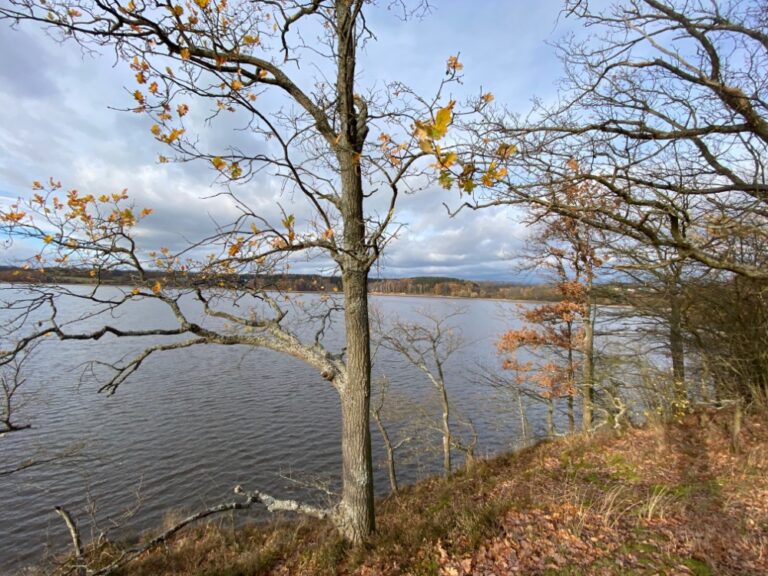 Stavební pozemek 878 m2, Skalka u Chebu
