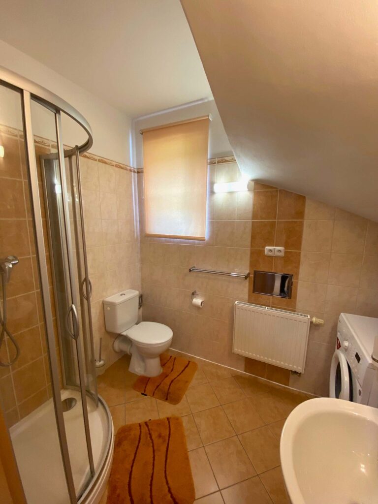 Rodinný dům 5+KK, Březová, Karlovy Vary