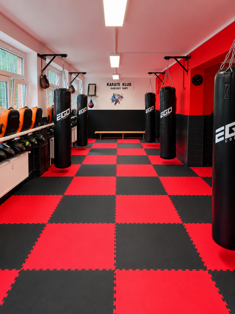 Přenechání nájmu fitness centra – 170 m², Karlovy Vary, Drahovice, ul. Mozartova